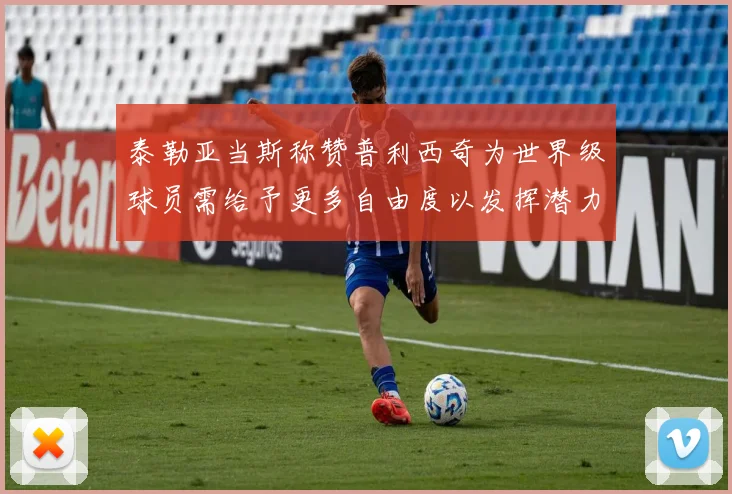 泰勒亚当斯称赞普利西奇为世界级球员需给予更多自由度以发挥潜力