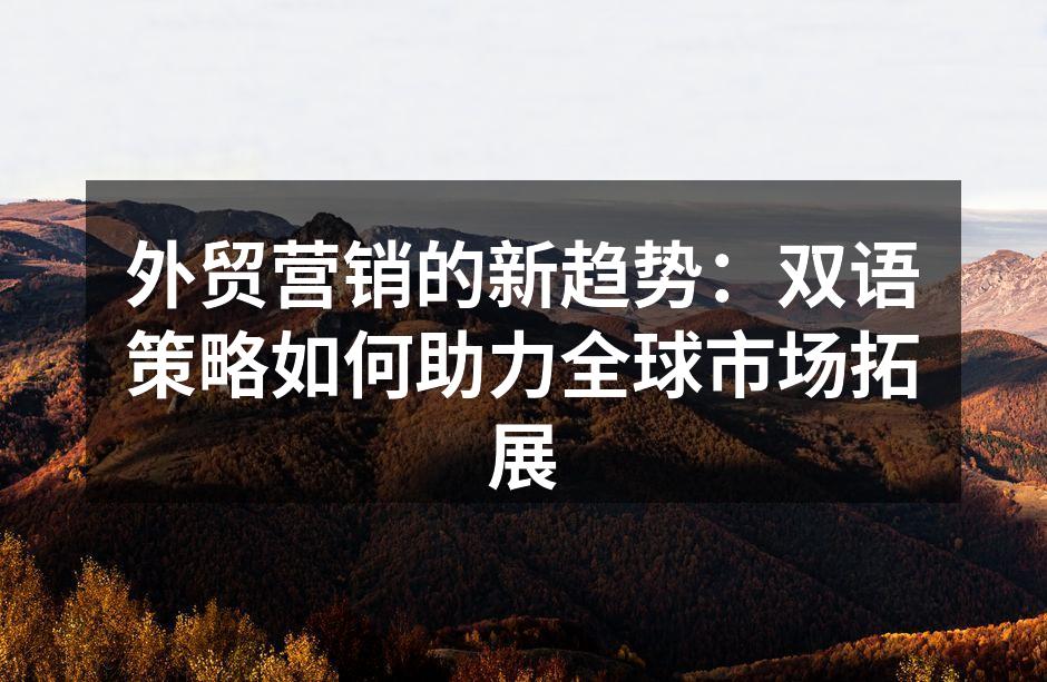 外贸营销的新趋势：双语策略如何助力全球市场拓展