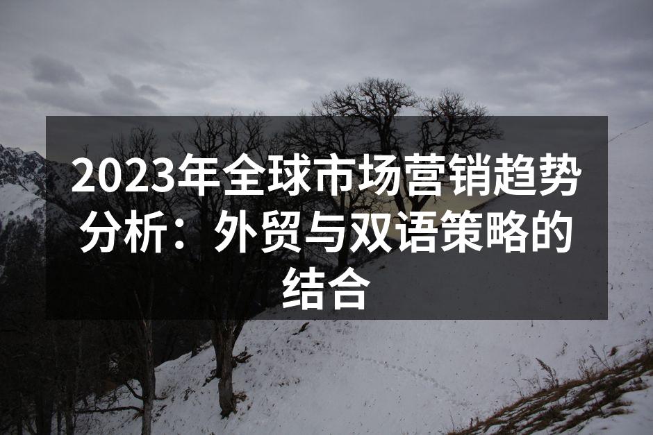 2023年全球市场营销趋势分析：外贸与双语策略的结合